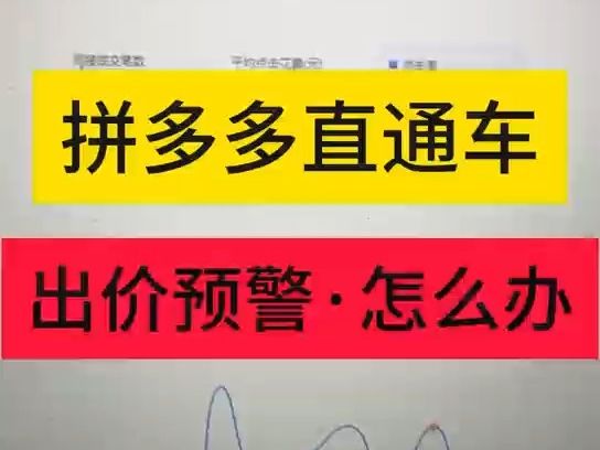 拼多多直通车出现出价预警怎么调整?哔哩哔哩bilibili