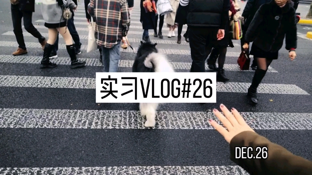 [图]小红书实习vlog26. 《奇葩说7》还挺有意思 | 周六上班 | 茶百道奶茶