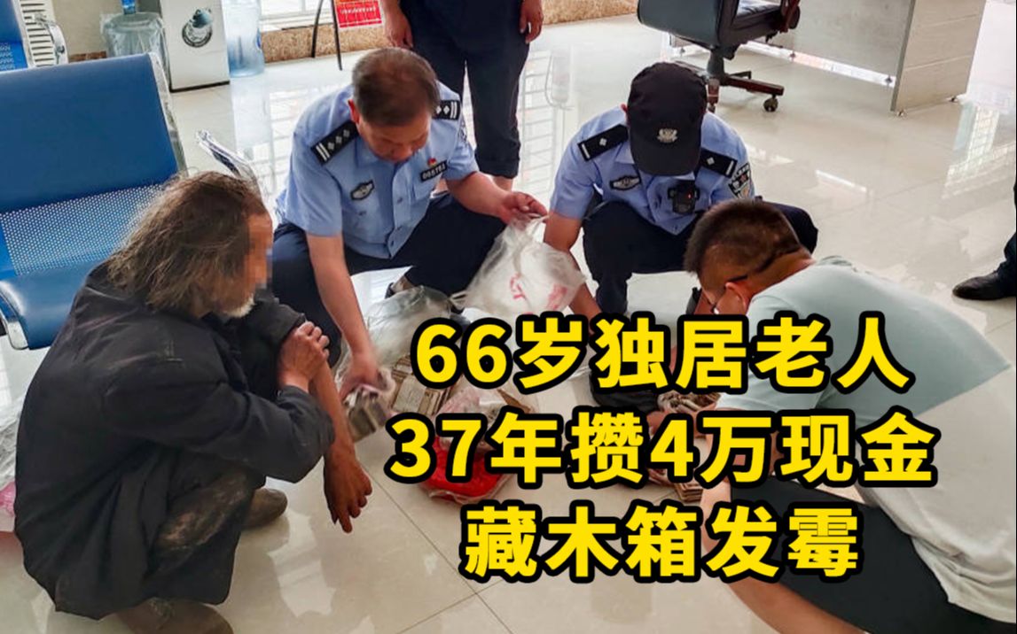 66岁独居老人37年积蓄不愿存银行,大量纸币藏木箱发霉被虫蛀哔哩哔哩bilibili