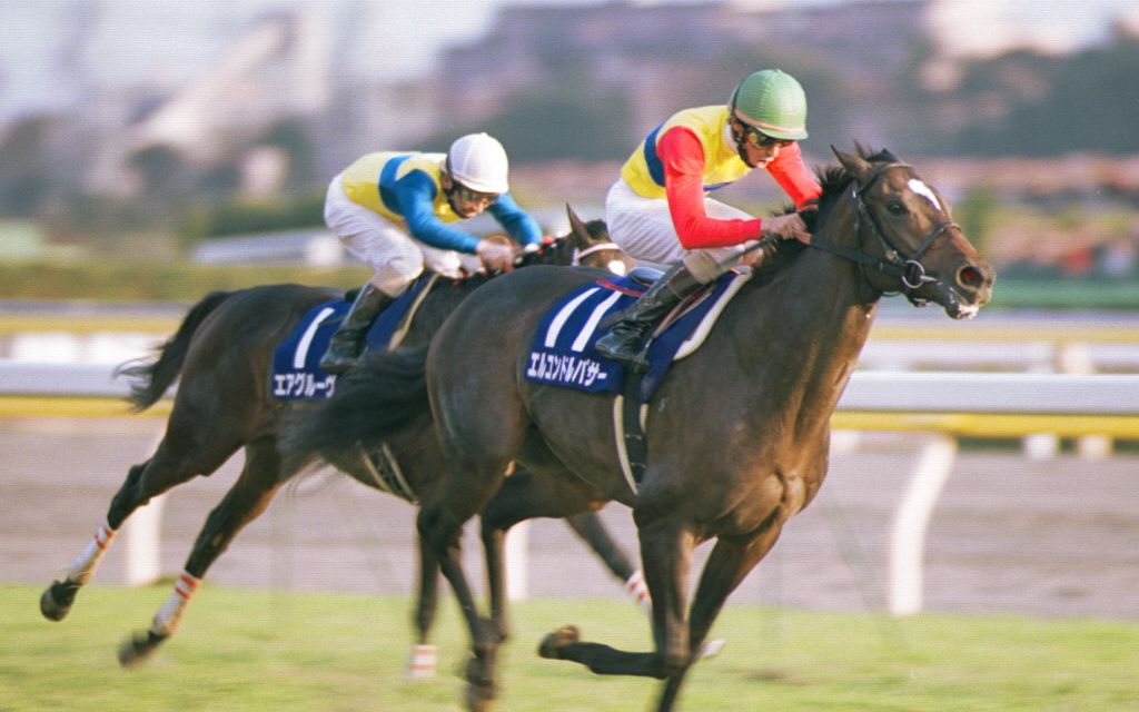 20世纪的名马 第10位 el condor pasa(神鹰)