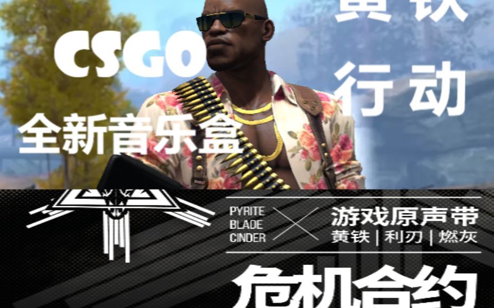 [图]【CSGO】音乐盒（StatTrak™）| 黄铁行动 |塞壬唱片-MSR,Life Awaits - Operation Pine Soot