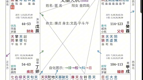 紫微斗数紫府同宫的含义及注意事项哔哩哔哩bilibili