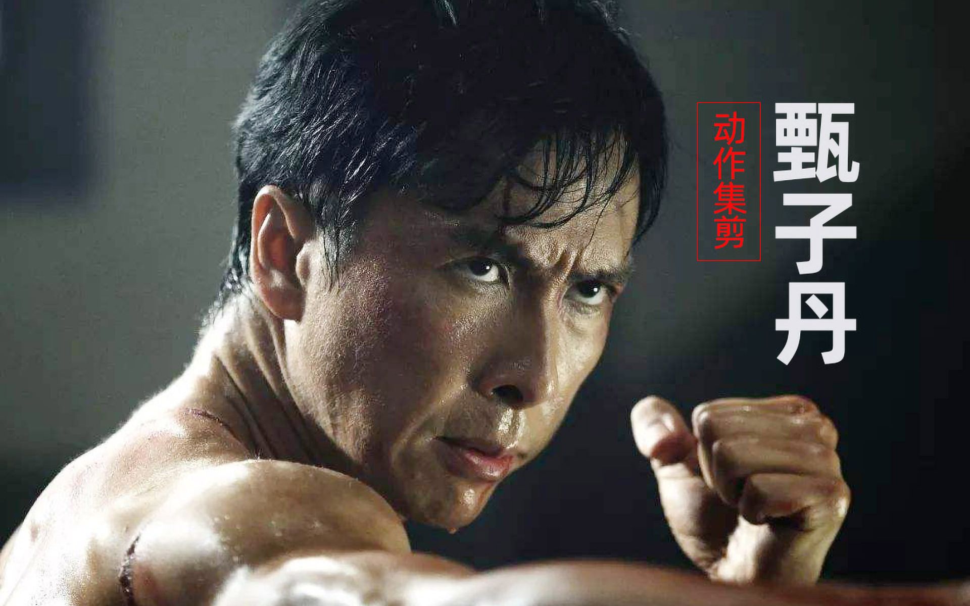 【甄子丹动作电影】从头打到尾,极富观赏性