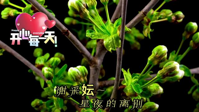 [图]台湾歌后谢采妘一首《星夜的离别》。歌声甜美，悦耳动听！