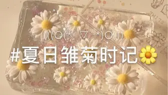 蝶子购分 阿顾の夏日的雏菊 哔哩哔哩 Bilibili
