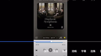 韩漫Passion】Diaphonic Symphonia小说外传伪预告片_哔哩哔哩_bilibili