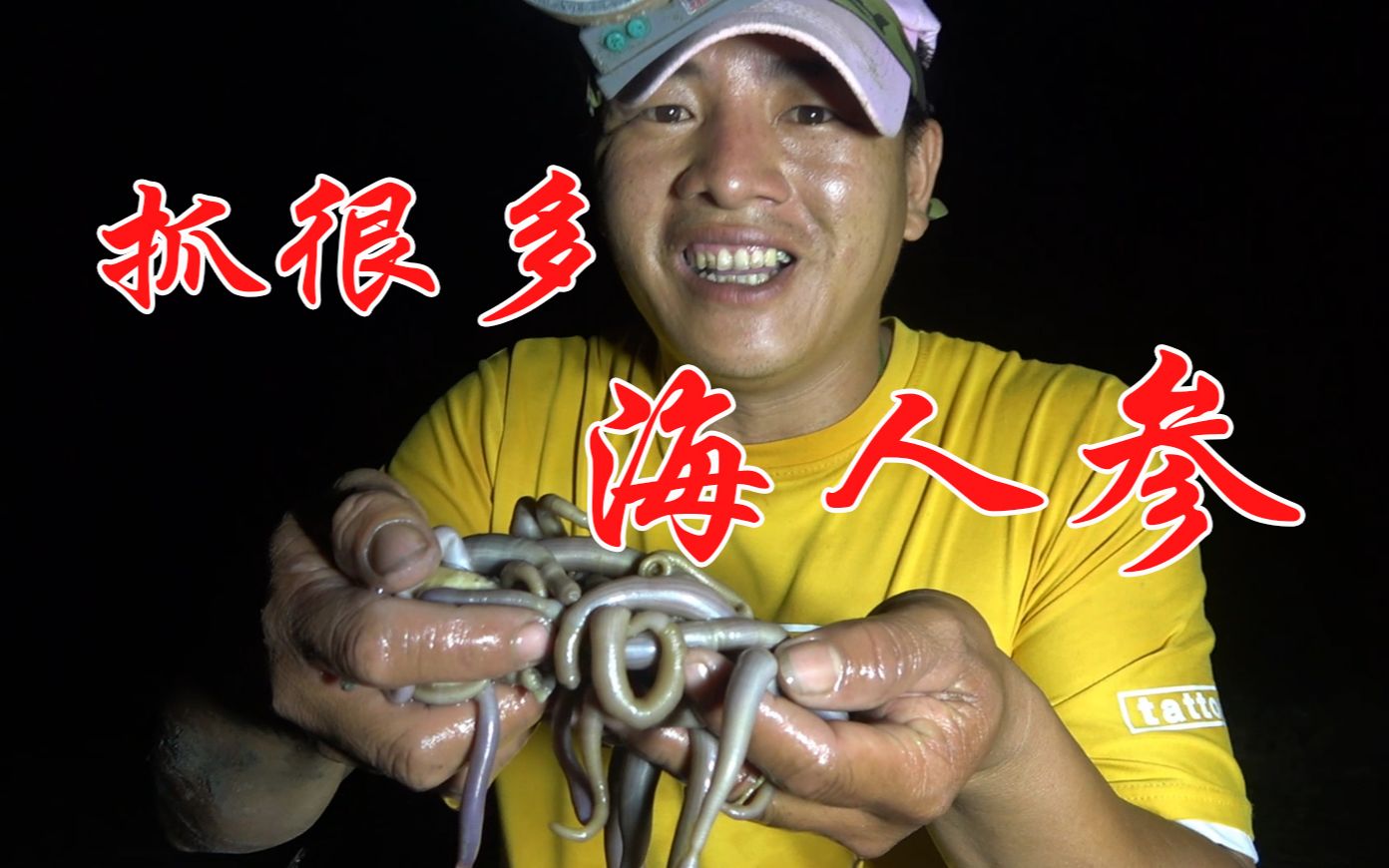 夜晚退潮沙滩一片沙虫洞刀仔过来抓到爽人称海人参可值钱了