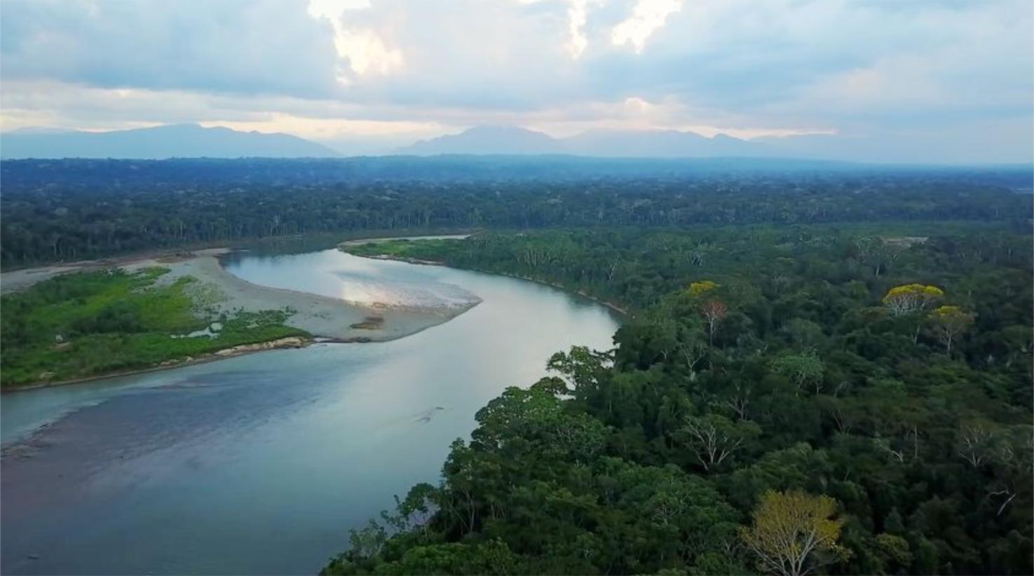 亚马逊河能有多可怕?附近居住人口达1500万,为什么不敢建桥?