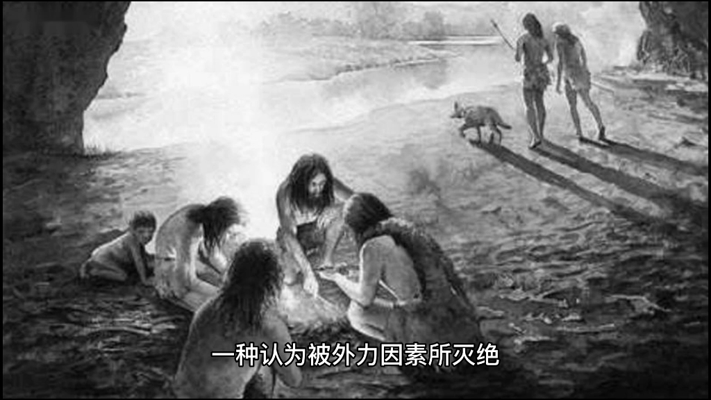 [图]【出人意料的进化论：人猿真的同祖吗】 之（神秘消失的尼安德特人）