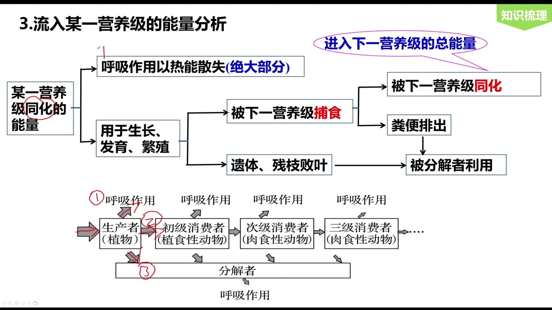 能量流动PPT图片