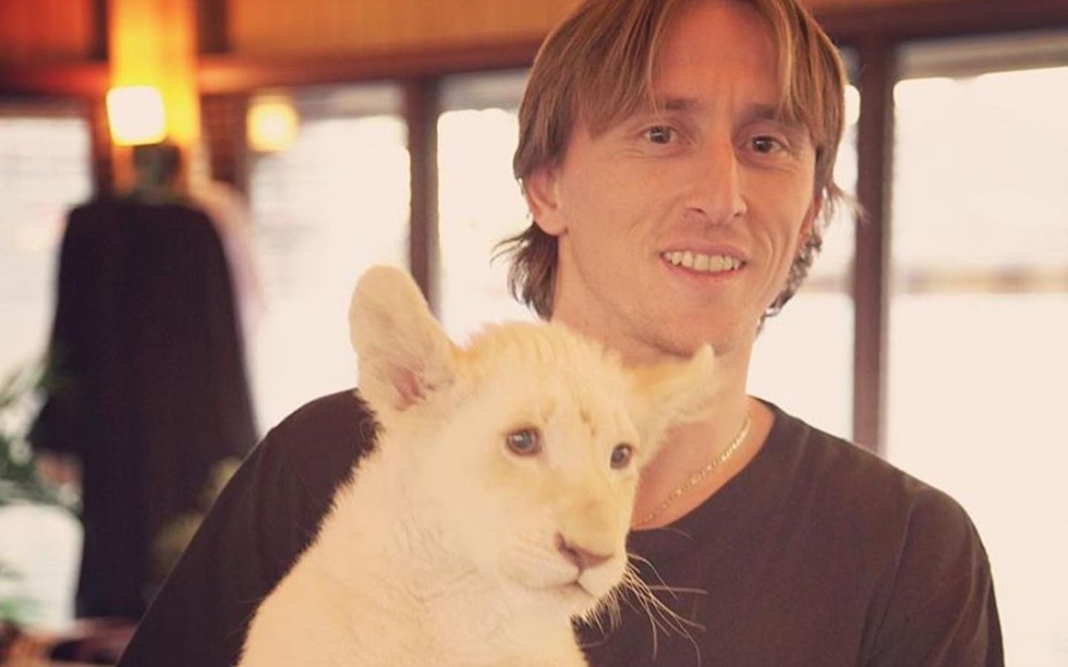 【莫德里奇】投喂小动物的魔笛,垂耳兔和毛茸茸哪个更可爱呢?