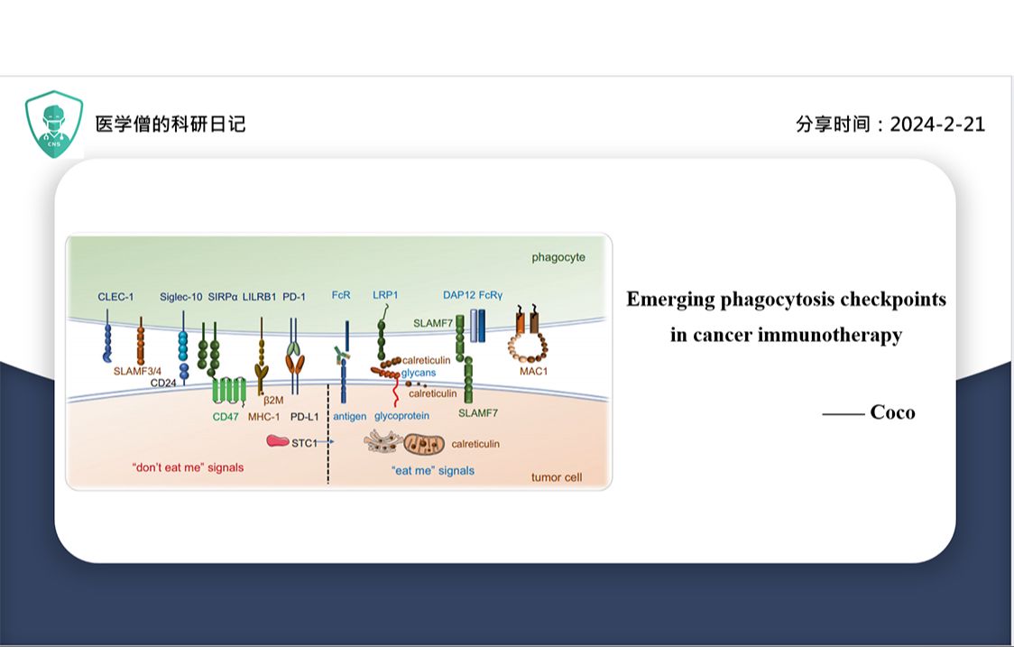 癌症免疫疗法中新出现的吞噬检查点哔哩哔哩bilibili