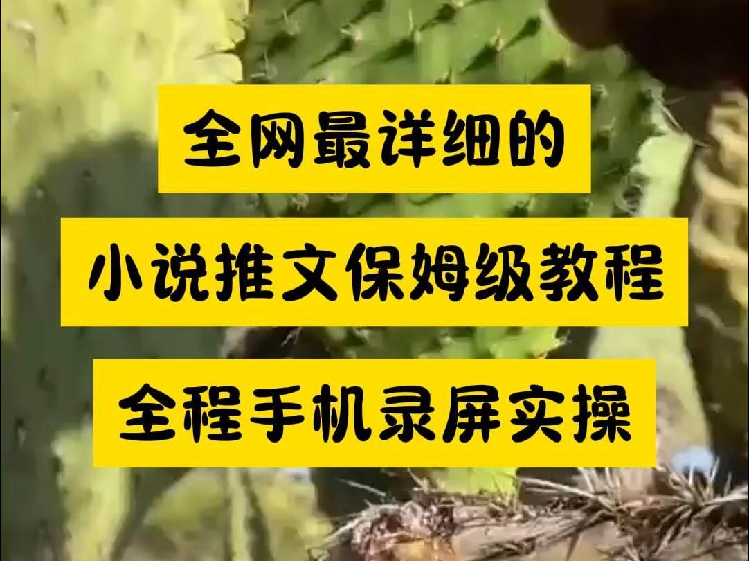 由于讲得太详细导致被限流的小说推文教程哔哩哔哩bilibili