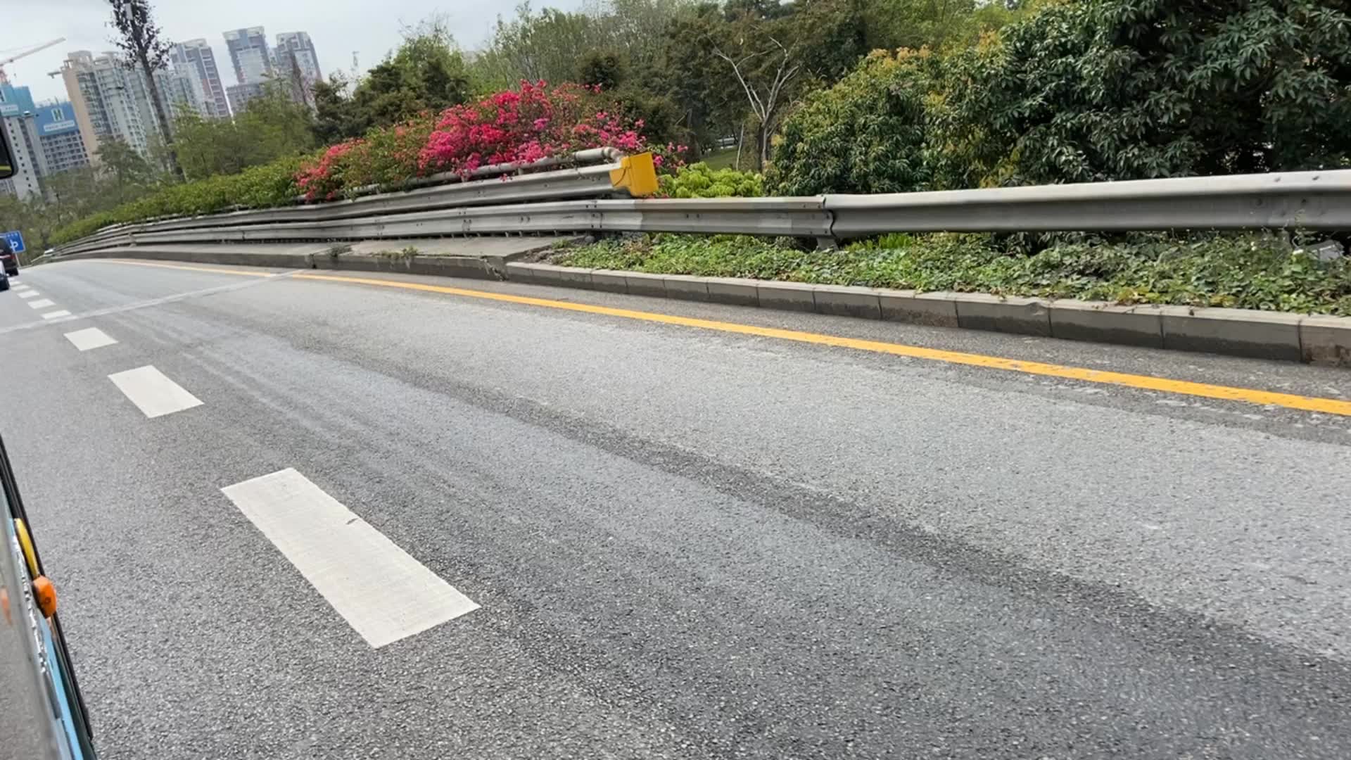 今天去深圳的仙湖坐在公交一路随拍美丽的风光近在眼前