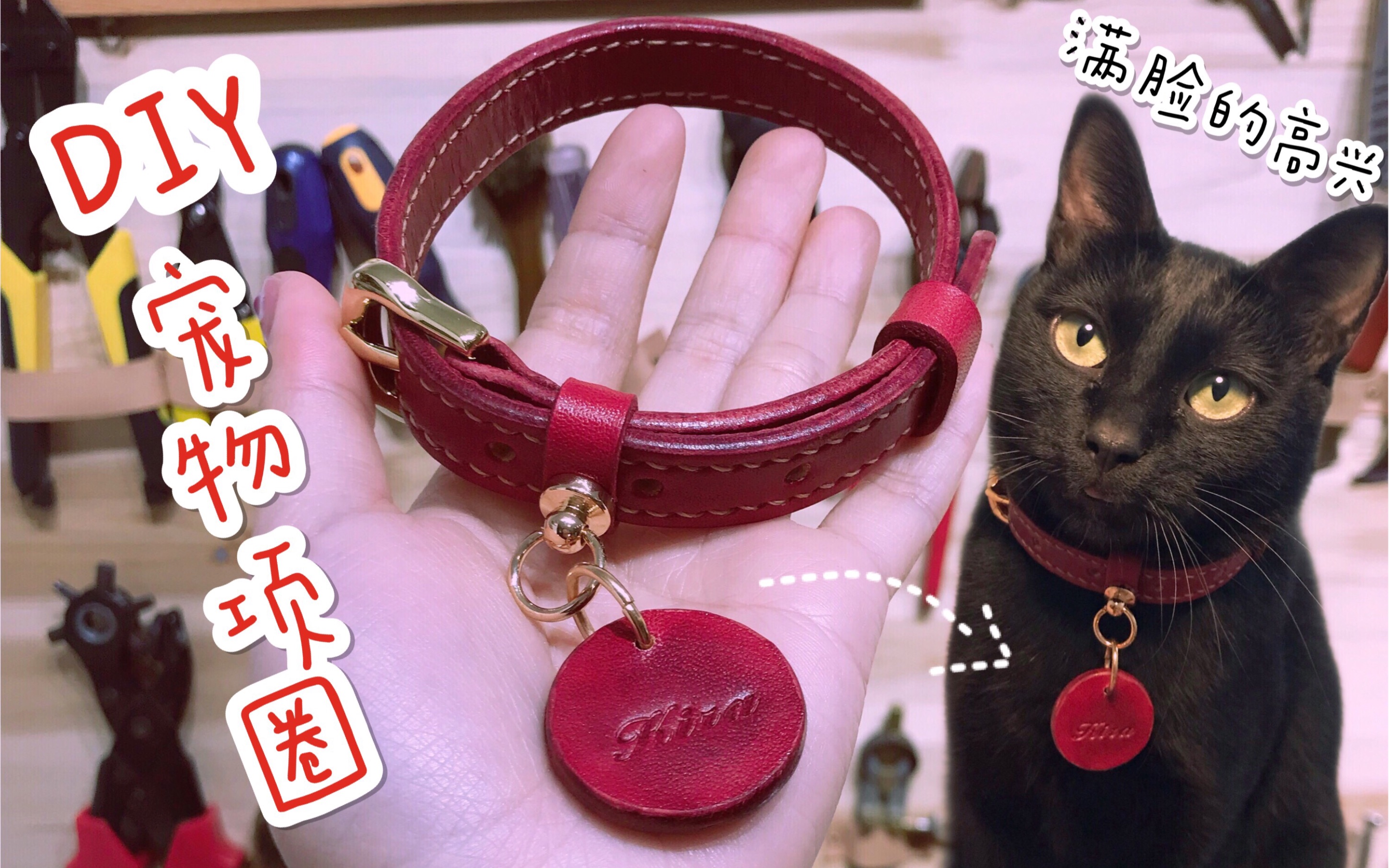 【vv的手工vlog】diy宠物项圈初体验