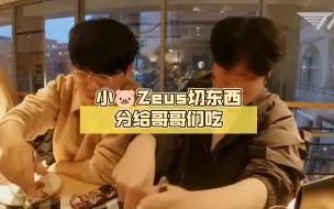 Télécharger la video: 小🐷Zeus切东西分给哥哥们吃，小吕布的反应是：祐齐你太在意镜头了吧