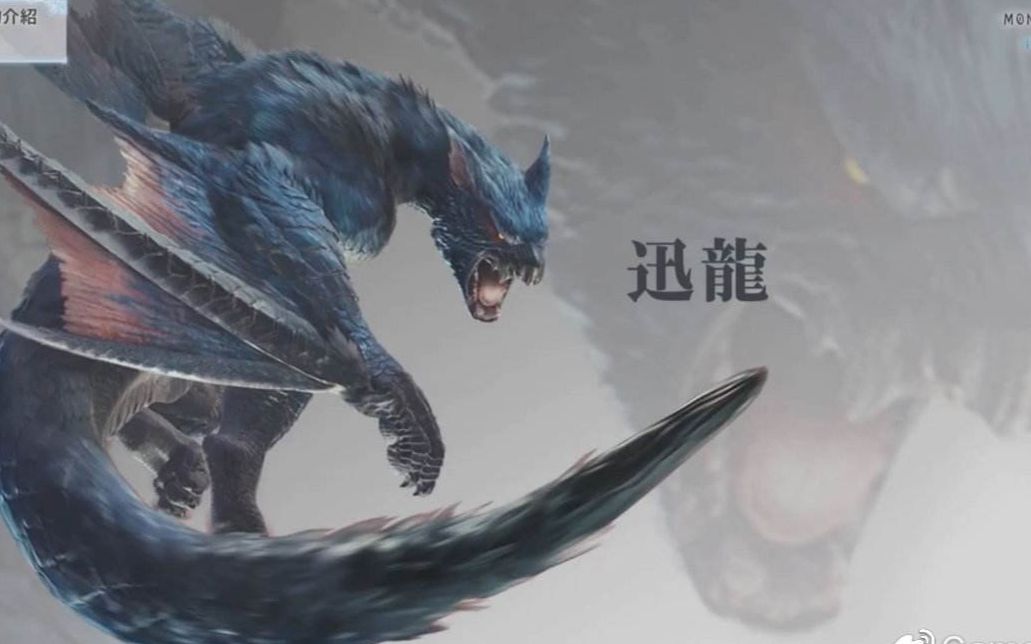 【真手残】从零开始的新大陆----怪猎实况解说32期----主题:大剑,迅龙