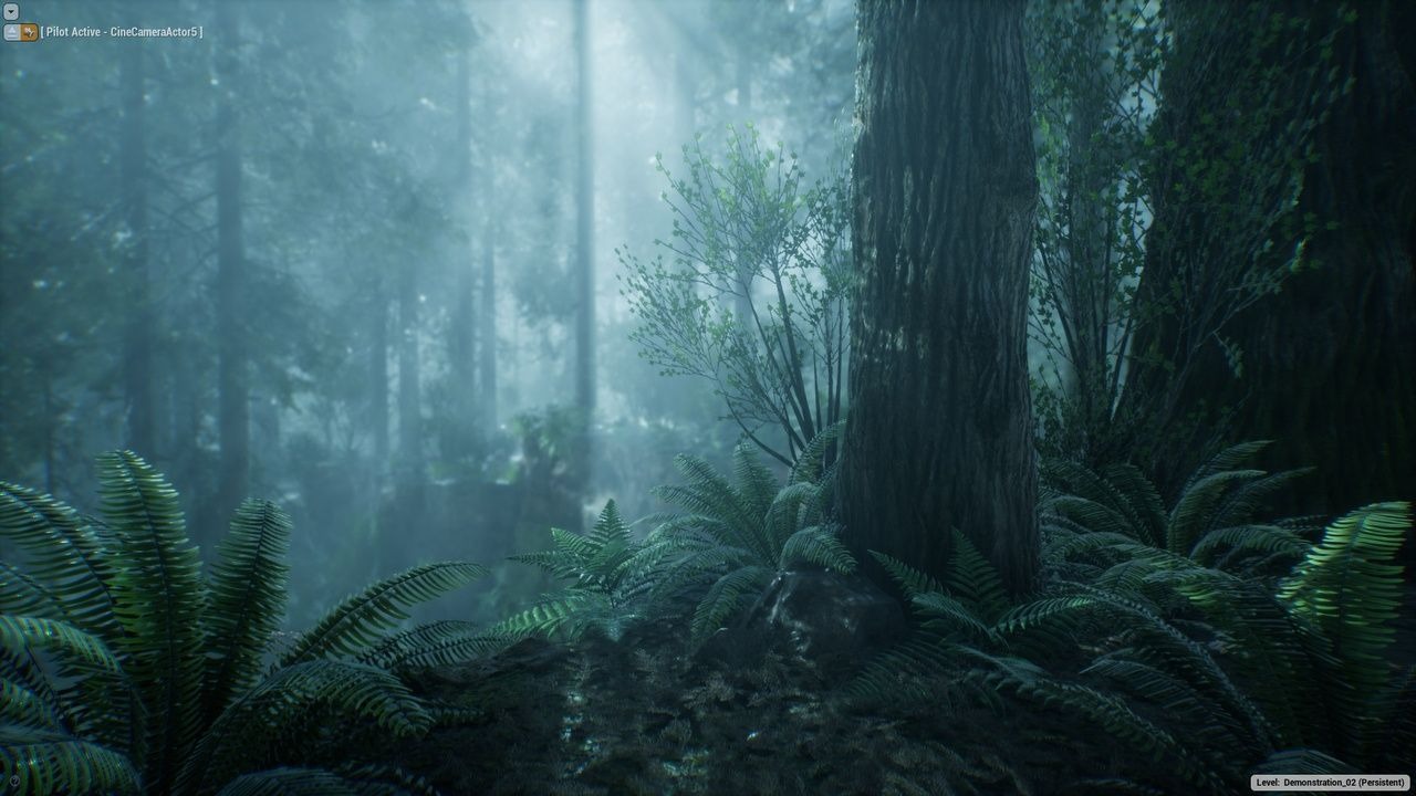 forest 写实迷雾森林树木游戏场景