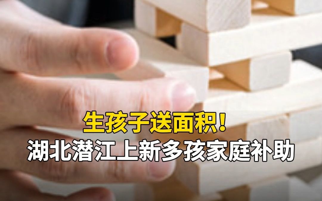 生孩子送面积!湖北潜江上新多孩家庭补助哔哩哔哩bilibili