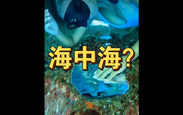 地理小知识——海中海哔哩哔哩bilibili