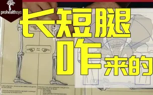 Download Video: 【长短腿】傻子看了都明白，长短腿是怎么产生的