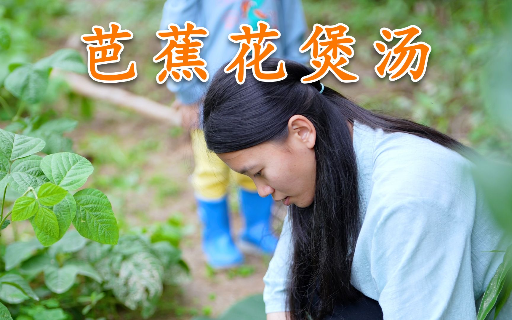 [图]用鲜花煲汤你们吃过吗，割几个芭蕉花回去煲大骨汤，甘甜可口