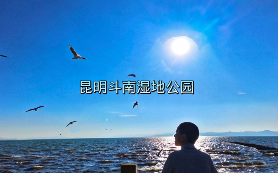 云南省昆明市斗南湿地公园