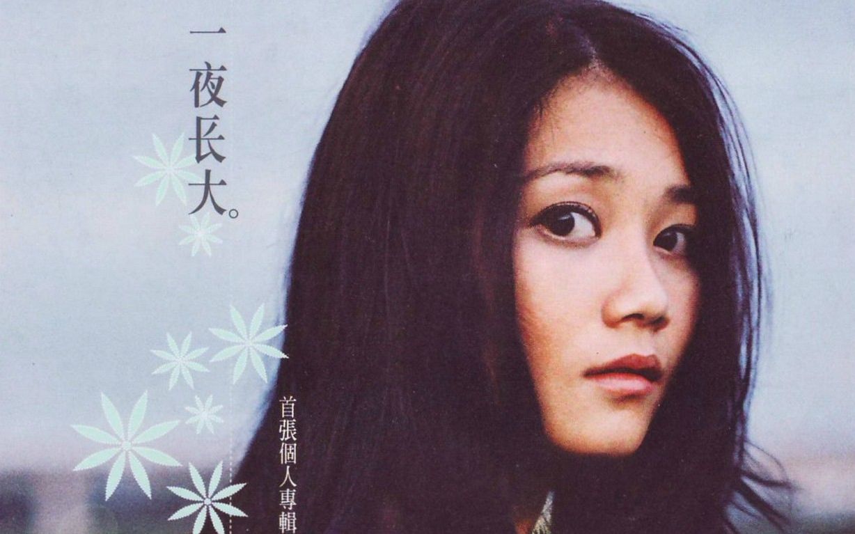 梁静茹1999一夜长大