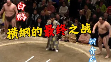 朝青龍-哔哩哔哩_Bilibili