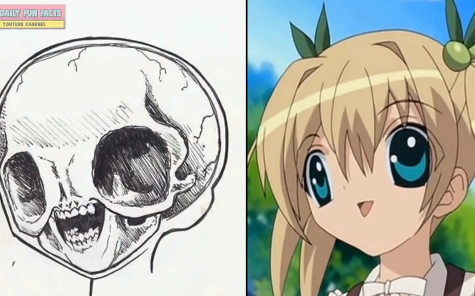 你绝对没想到其实二次元人物骨骼是这个样子的