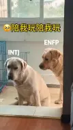 Download Video: 欢迎收看彩虹组日常🌈Enfp💗intj