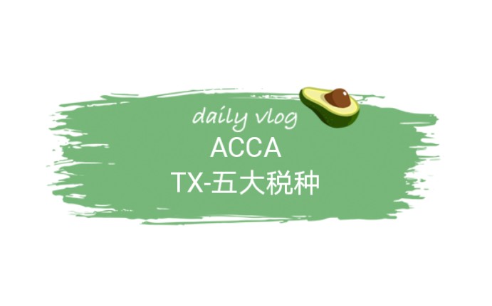 ACCATX五大税种哔哩哔哩bilibili