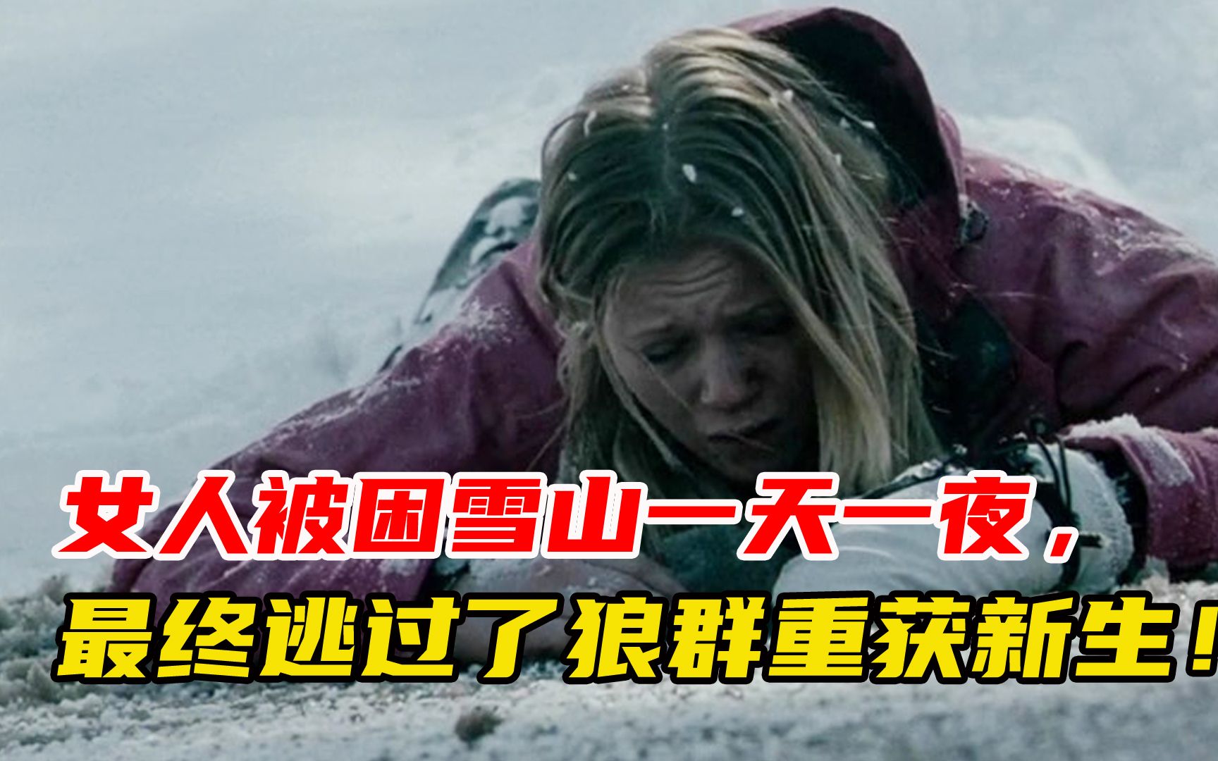 2/3电影《冷冻》中,女人被困雪山一天一夜,最终逃过狼群获救!哔哩哔哩bilibili