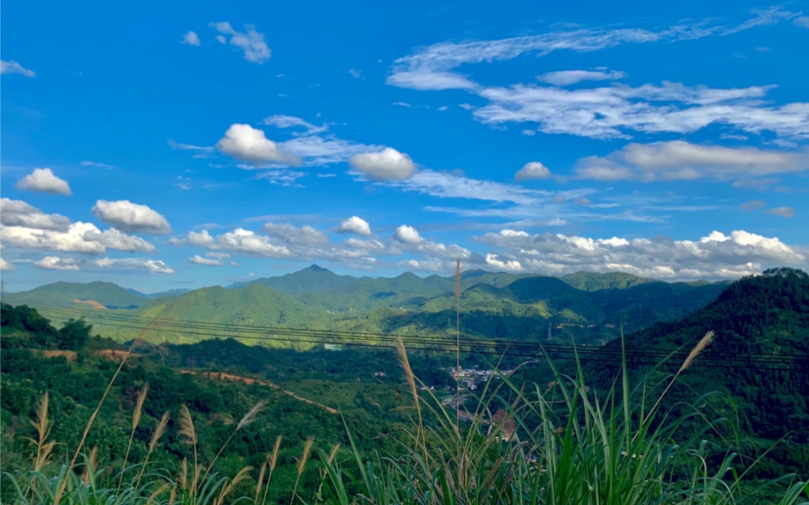 大埔双髻山图片