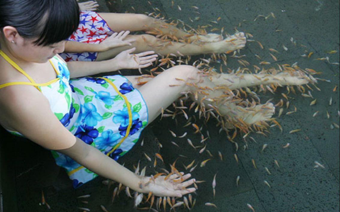 女子泰国做鱼疗,结果鱼全死了,商家索赔6万,这是怎么回事?