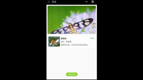 托普云农 玩转见虫微信小程序 见虫app 昆虫识别 哔哩哔哩