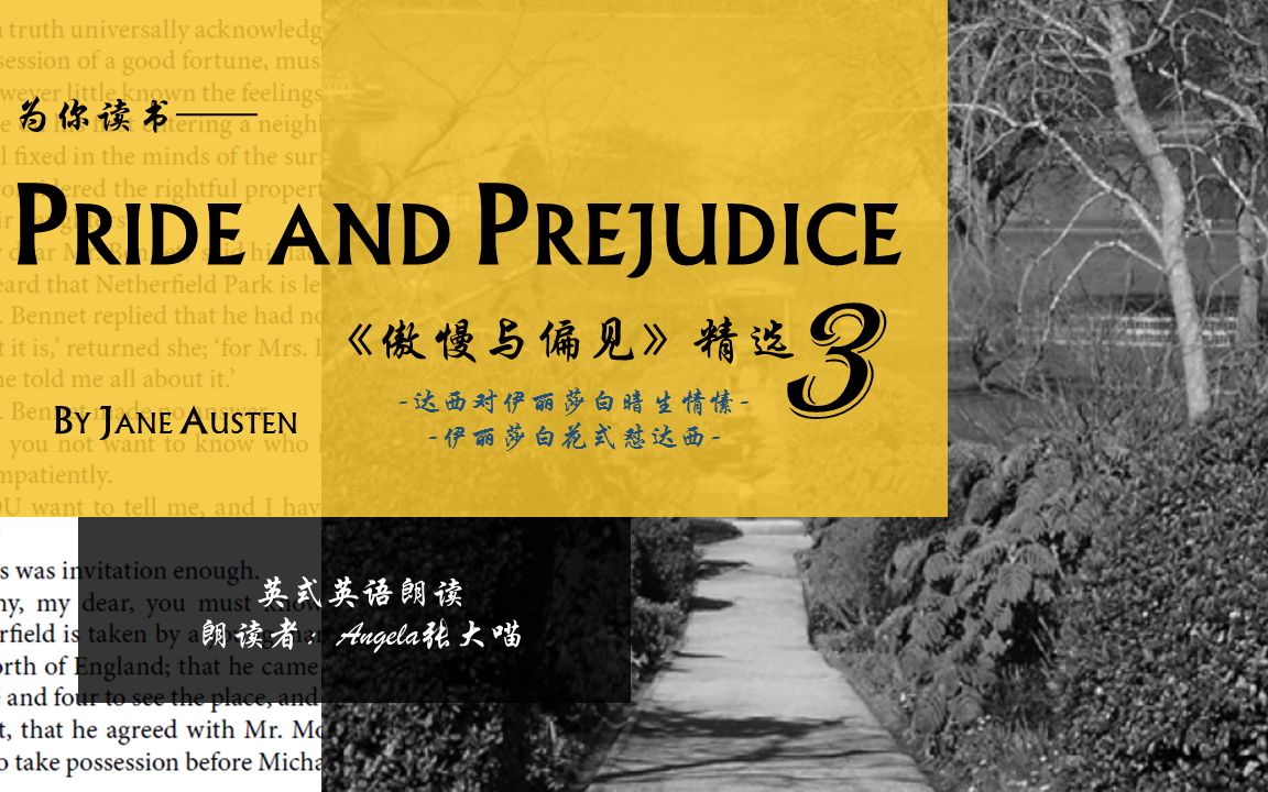 【为你读书】英式英语朗读——Pride and Prejudice《傲慢与偏见》精选3:伊丽莎白花式怼达西哔哩哔哩bilibili