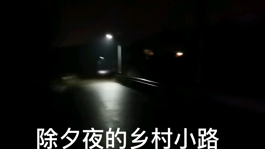 [图]除夕夜的乡间小路