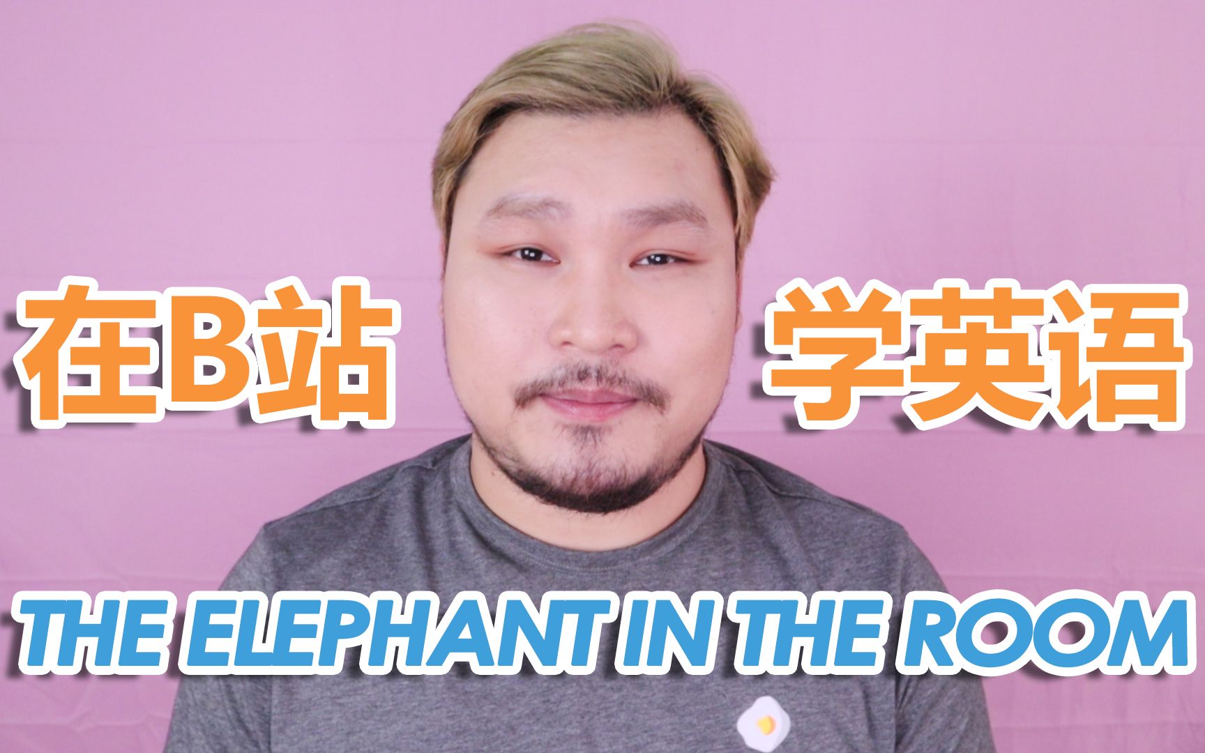 【Kiara】在B站学英语the elephant in the room地道表达哔哩哔哩bilibili