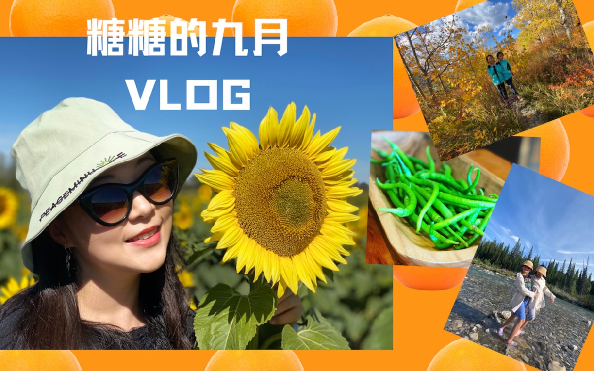 [图]糖糖的vlog ｜ 丰收的九月 ｜ 九月我都干了啥｜ 采摘/跳水/图书馆/玩水