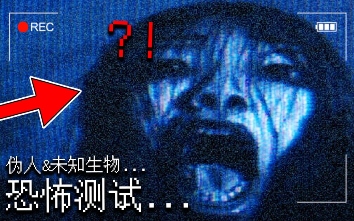 关于伪人未知生物的恐怖测验,通过即可进入基金会?【恐怖游戏】