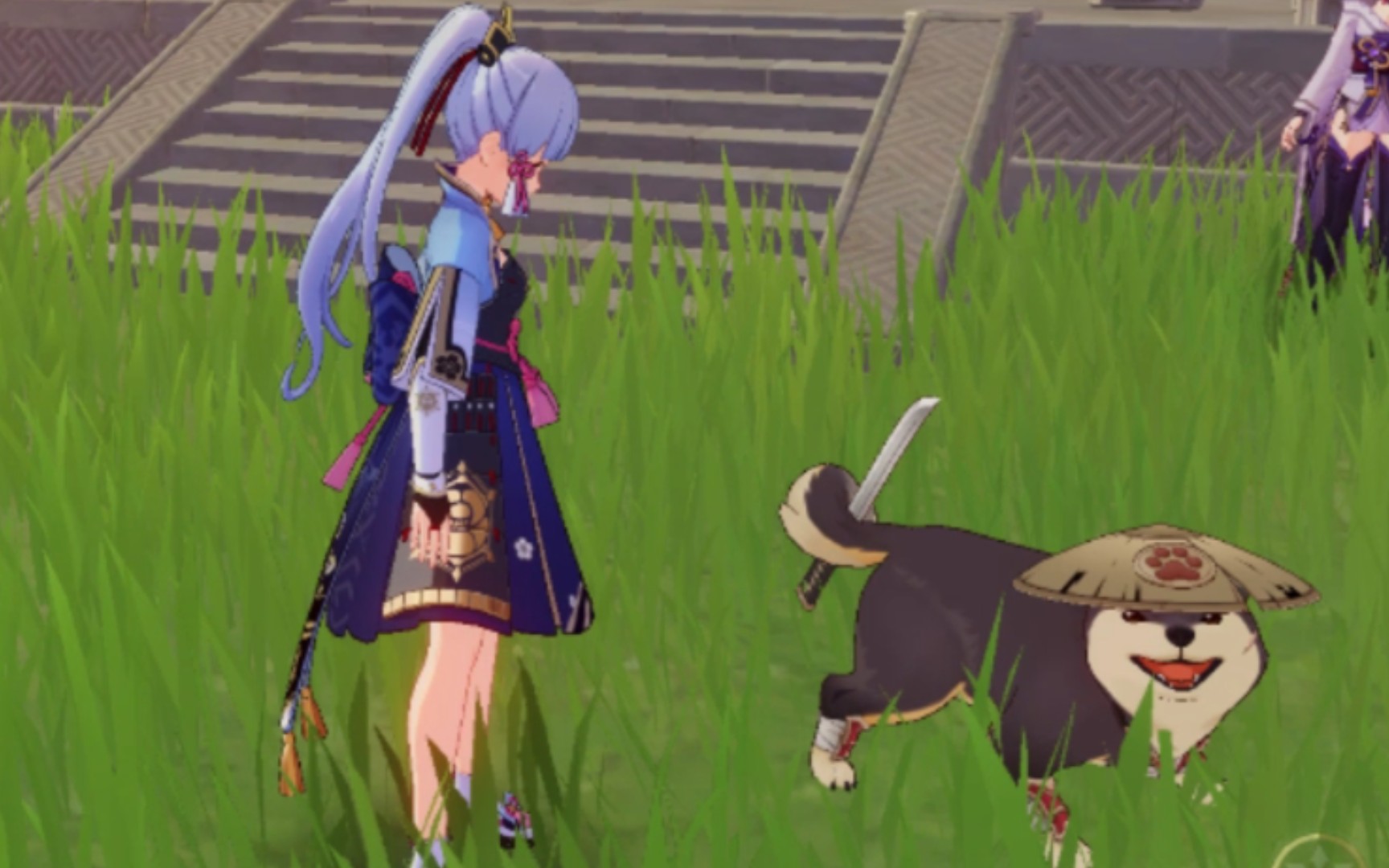 原神黑影之谜的结局原来影狼丸是为了锻炼小动物