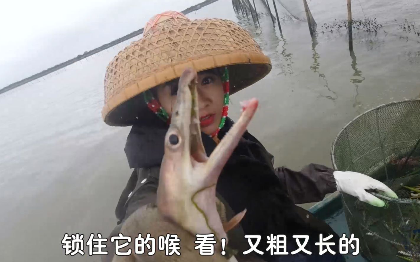 阿渔妹赶海又丰收了,有海鳗,螃蟹,虾,抓了好几笼