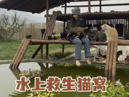 Tải video: 全部流浪猫迁移到新地方后给它们做的第一个猫窝“临水救生猫窝”