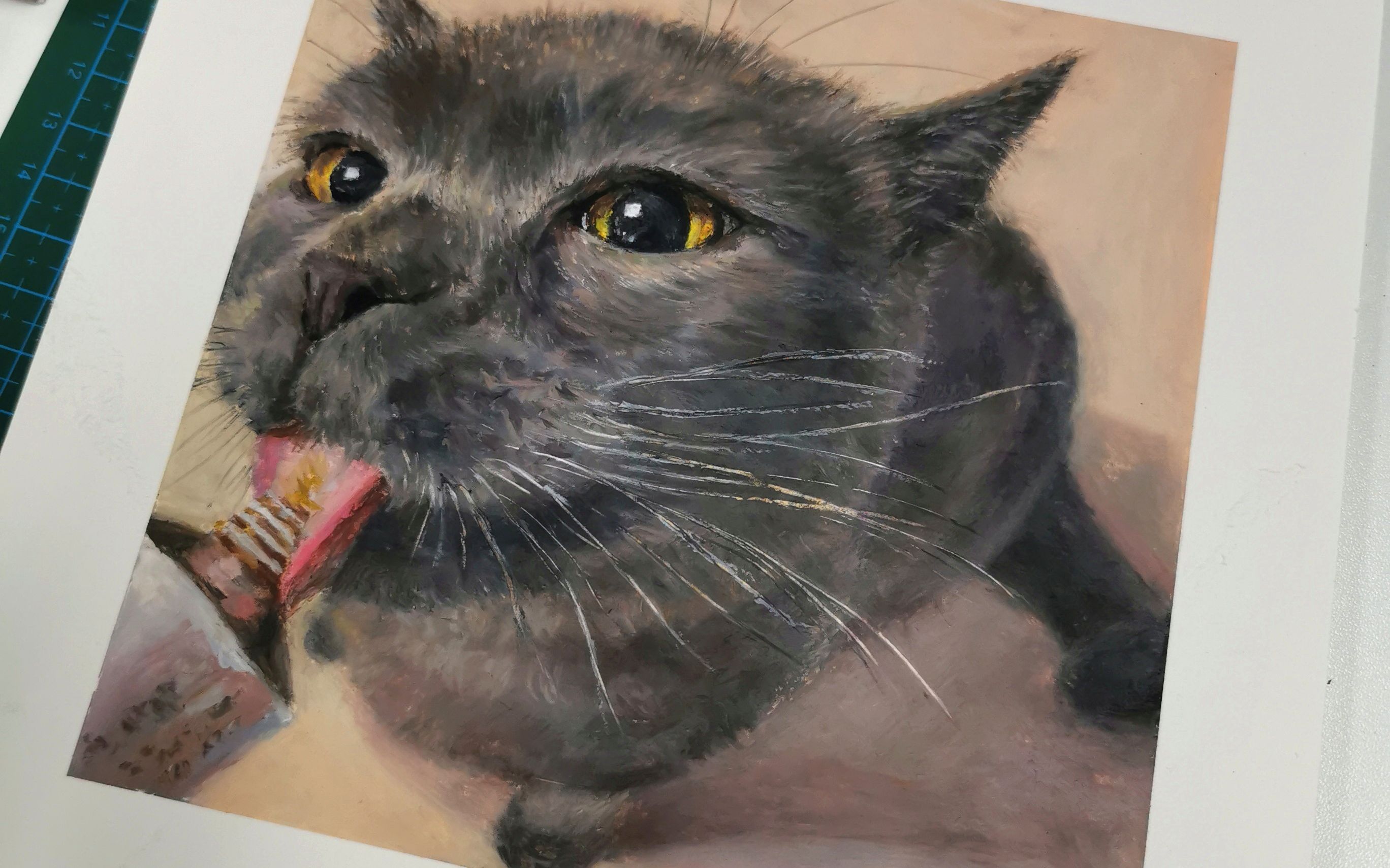 【油画棒】油画棒猫,蓝猫