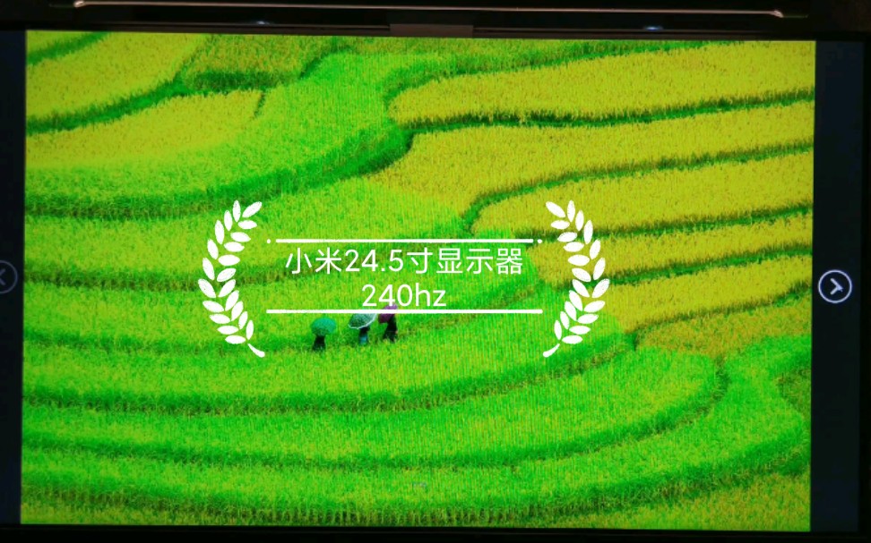 小米24.5寸显示器(240hz)图片的效果哔哩哔哩bilibili