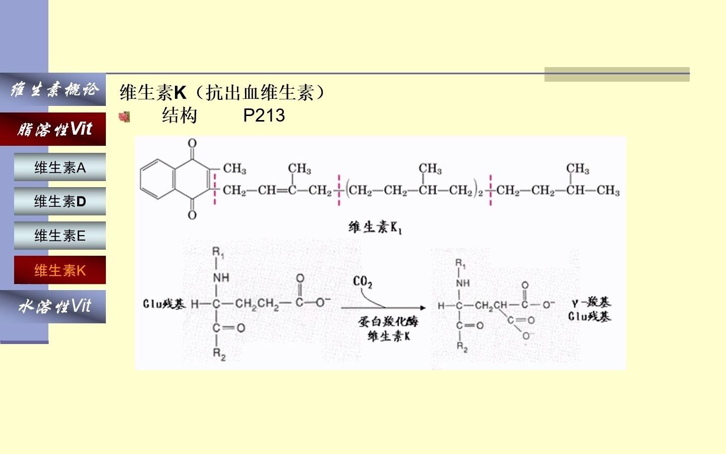 第五章 维生素和辅酶微课(6)——维生素E&K哔哩哔哩bilibili