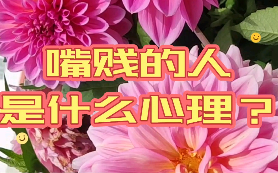 嘴贱的人是什么心理?哔哩哔哩bilibili