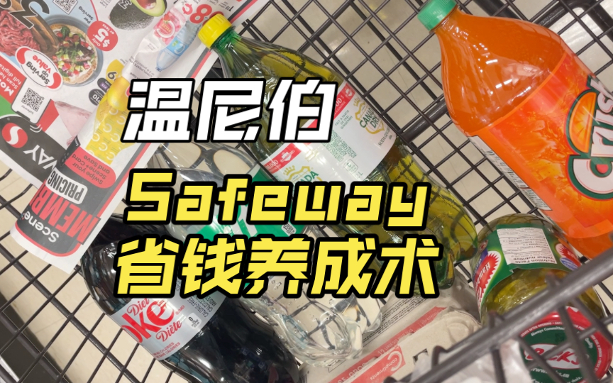 加拿大温尼伯购物养成术之Safeway哔哩哔哩bilibili