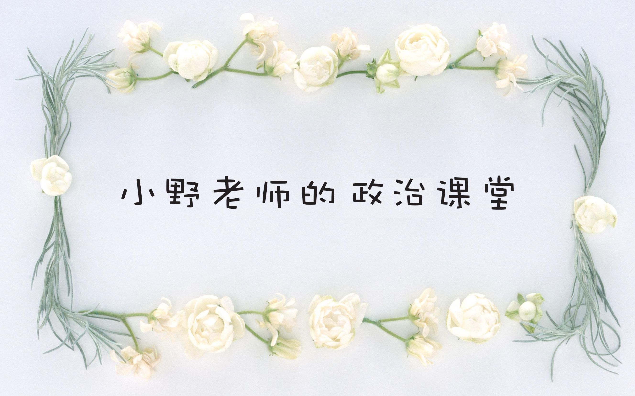 【小野老师讲政治】政治生活第九讲全面建设小康社会哔哩哔哩bilibili